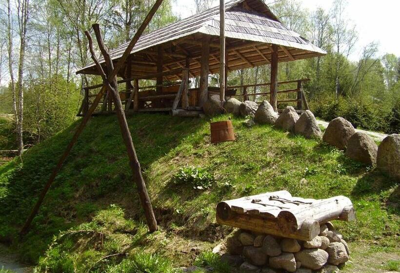 پانسیون Viikingite Küla