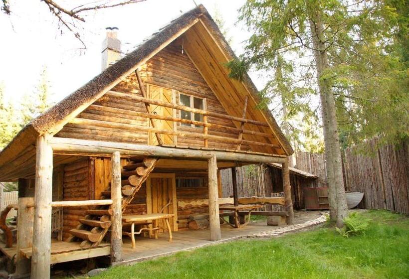 پانسیون Viikingite Küla