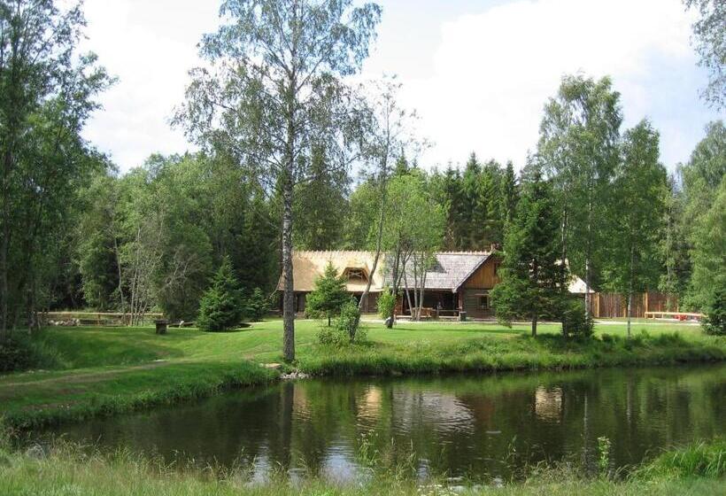 پانسیون Viikingite Küla