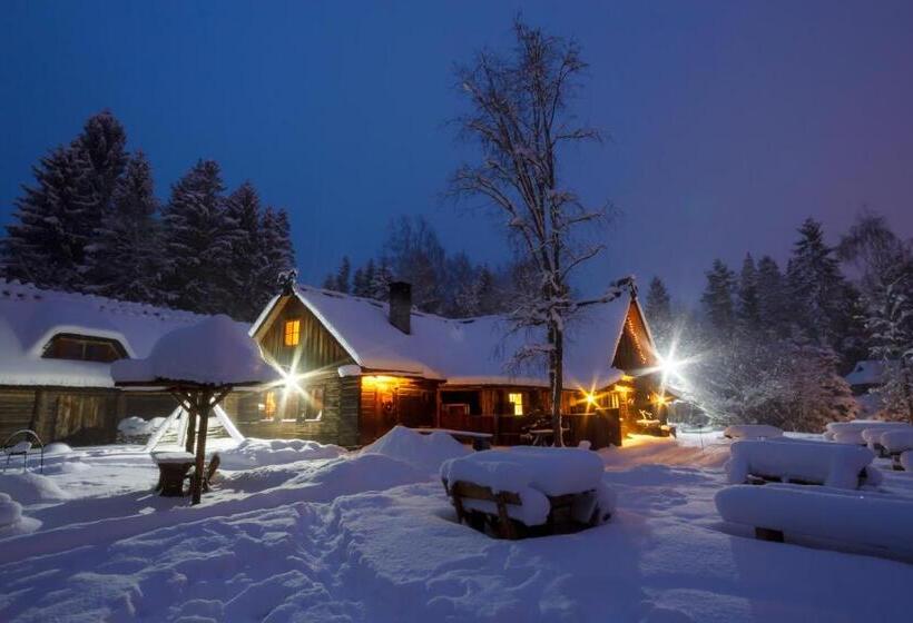 پانسیون Viikingite Küla