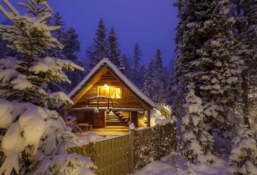 پانسیون Viikingite Küla