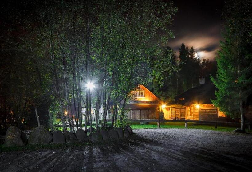 پانسیون Viikingite Küla