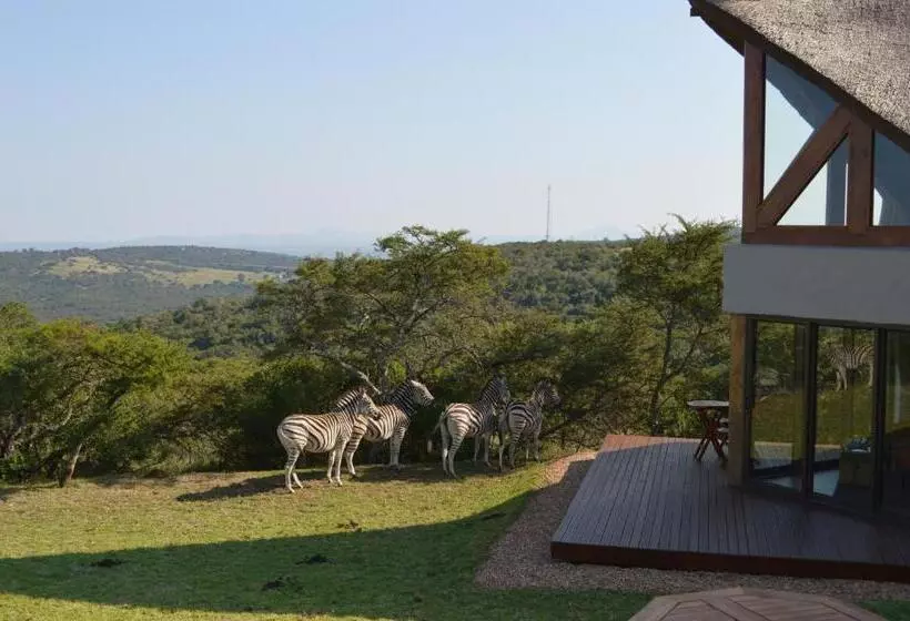 Aamiaismajoitus (B&B) Jbay Zebra Lodge
