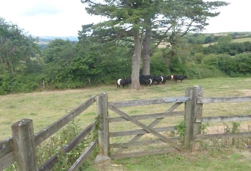 Bed and Breakfast Yarningale