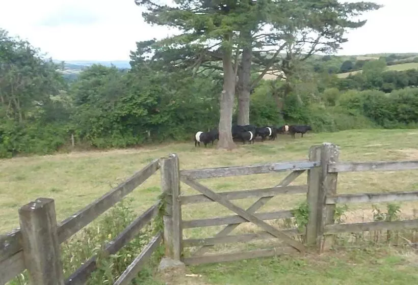 Bed and Breakfast Yarningale