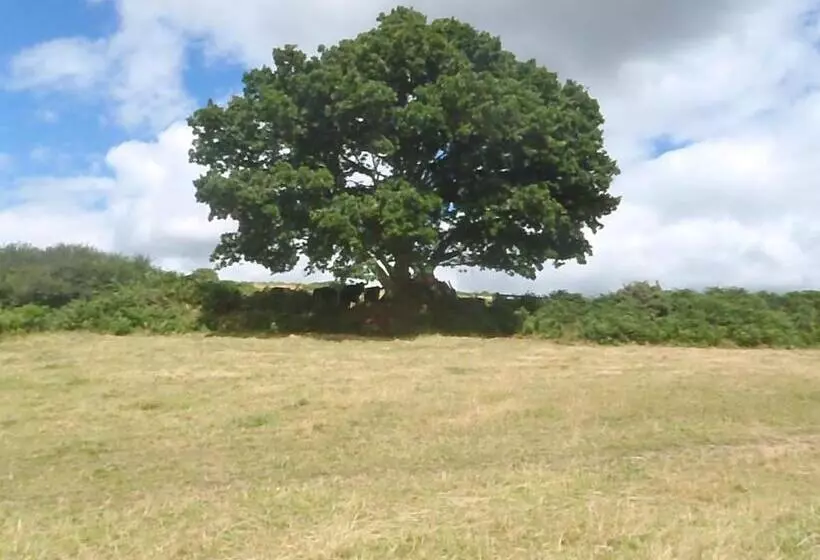 Bed and Breakfast Yarningale