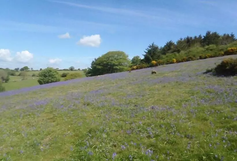Bed and Breakfast Yarningale