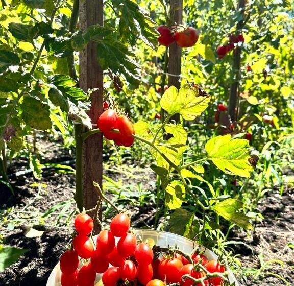 فندق Cob Village