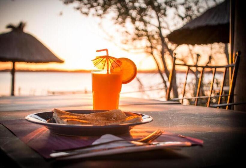 فندق Horacio Quiroga