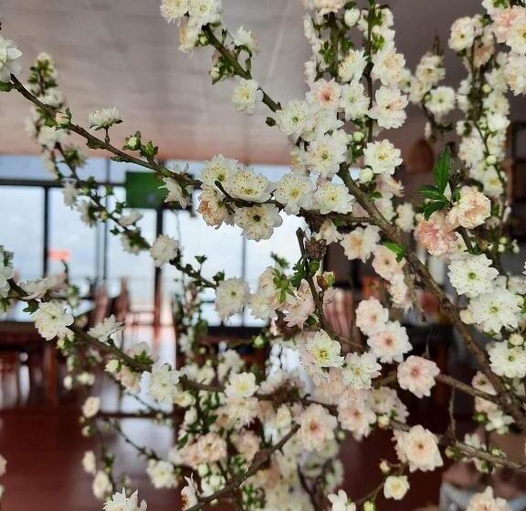 هتل Mộc Homestay Sa Pa