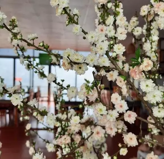 هتل Mộc Homestay Sa Pa