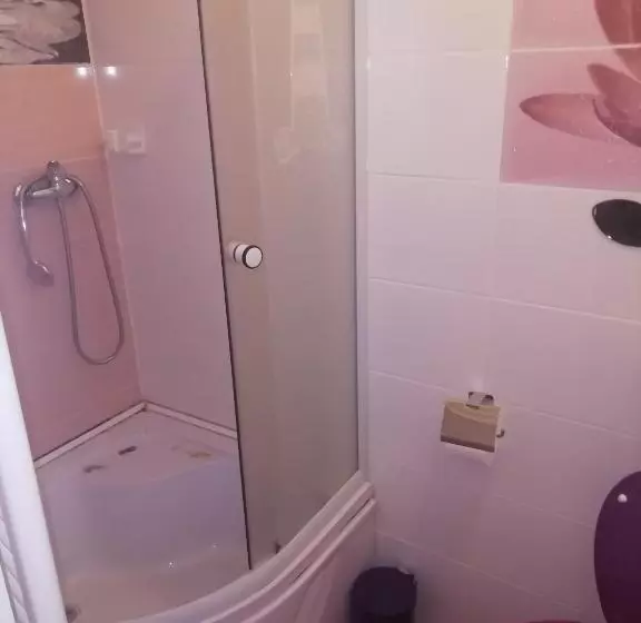 ペンション Domurile Din Zărnești