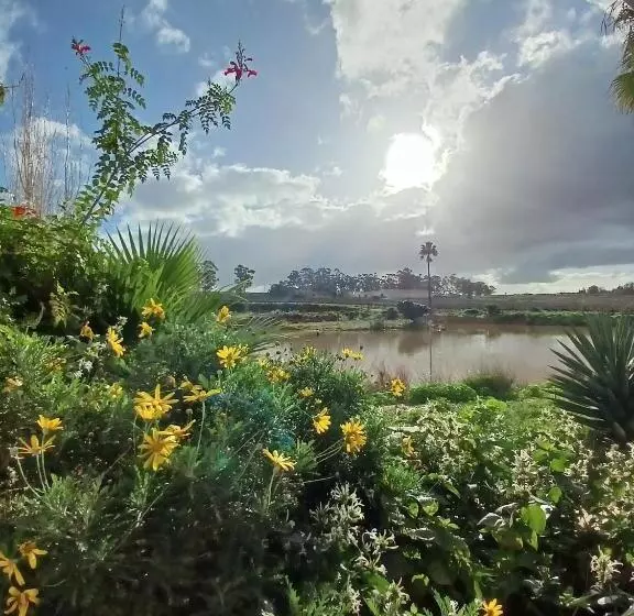 Majatalo Middelplaas Paarl Guesthouse