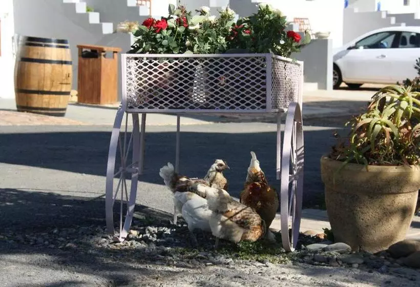 Majatalo Middelplaas Paarl Guesthouse