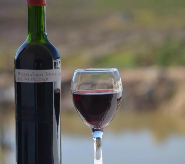 Majatalo Middelplaas Paarl Guesthouse