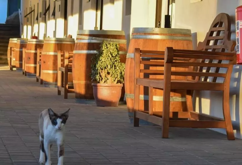Majatalo Middelplaas Paarl Guesthouse