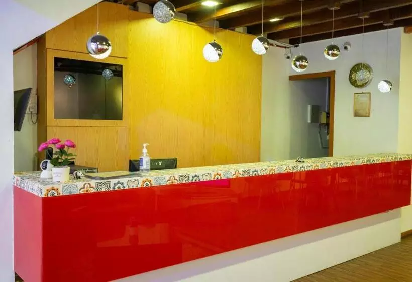Apollo Inn   Hostel