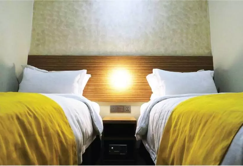 Apollo Inn   Hostel