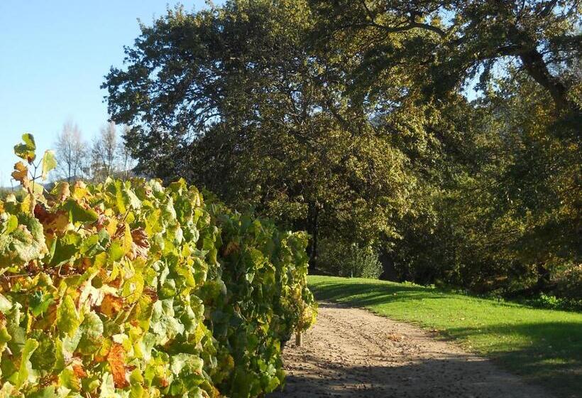 ベッドアンドブレックファースト Auberge Clermont