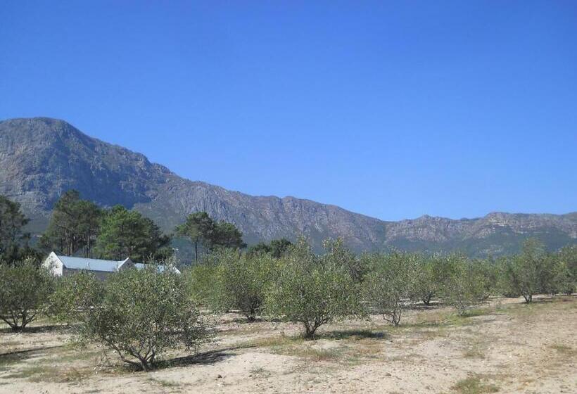 ベッドアンドブレックファースト Auberge Clermont