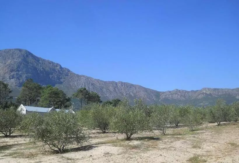 مبيت وإفطار Auberge Clermont