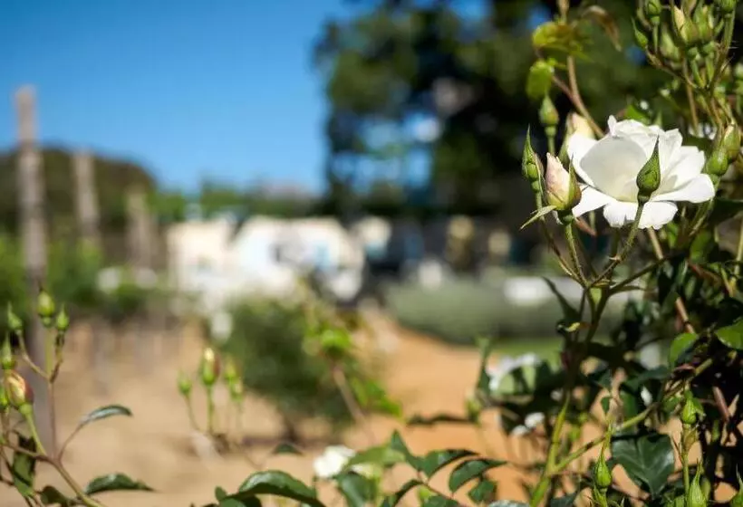 مبيت وإفطار Auberge Clermont