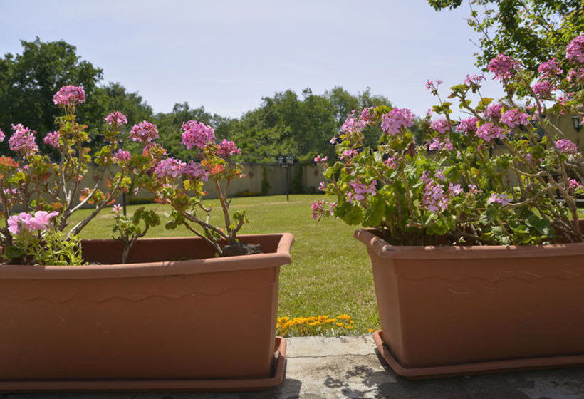 مبيت وإفطار Villa Sole Dell'etna