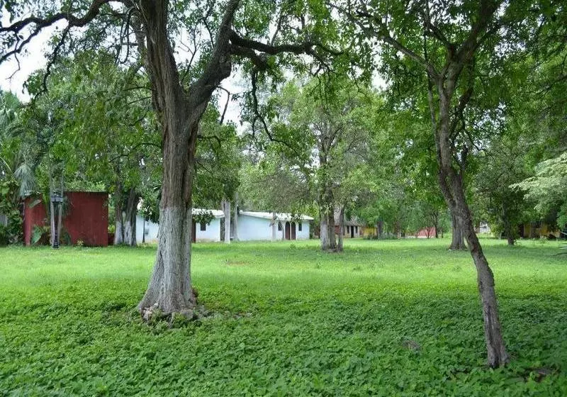 هتل Hacienda Blanca Flor