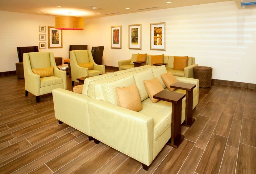 בית מלון כפרי Hilton Garden Inn San Antoniolive Oak Conference Center