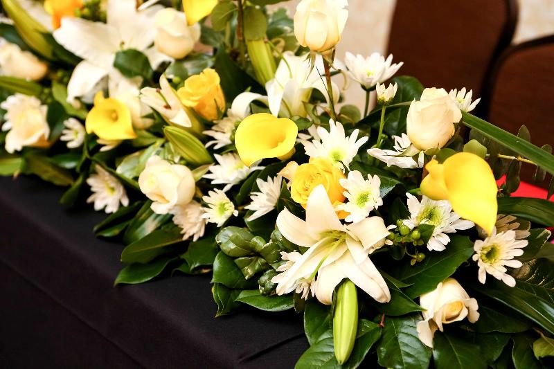 בית מלון כפרי Hilton Garden Inn San Antoniolive Oak Conference Center