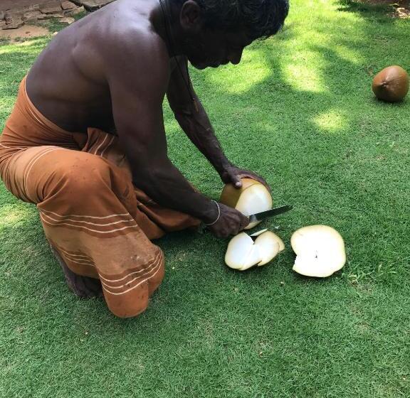 בית מלון כפרי Paradiso