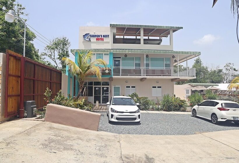 هتل Tarpon's Nest Lodge