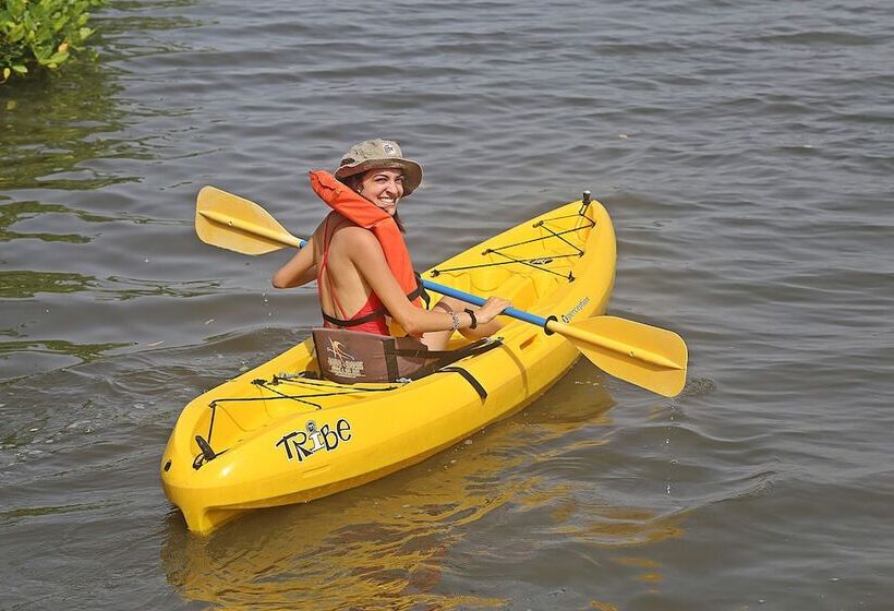 هتل Tarpon's Nest Lodge