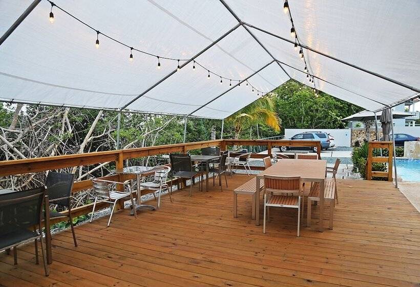 هتل Tarpon's Nest Lodge