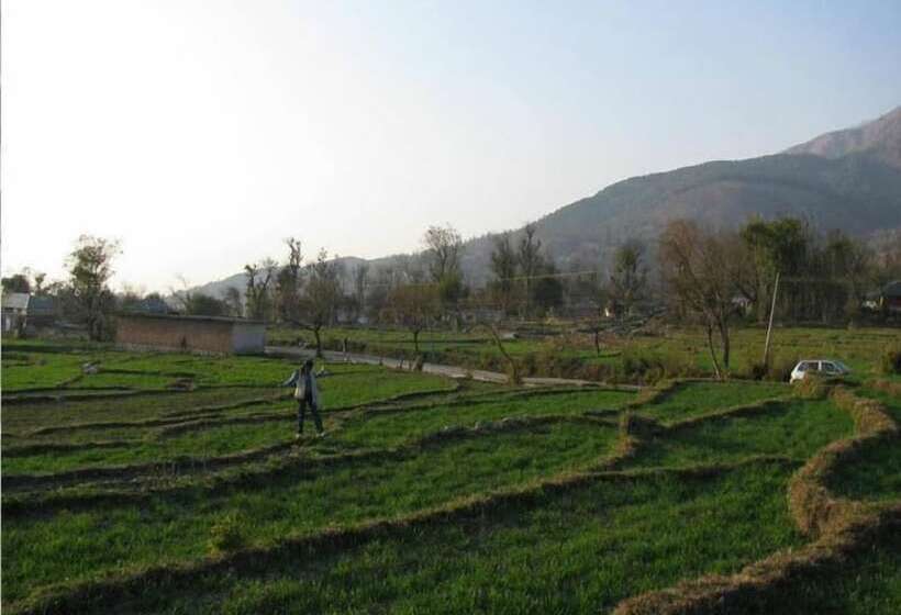 Hotel The Citadel Resorts,jiya