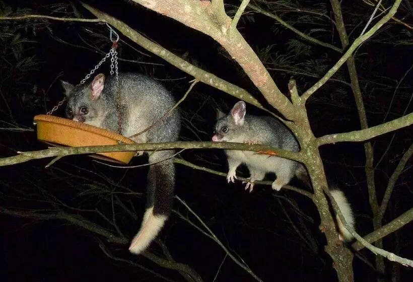 酒店 Yelverton Brook Conservation Sanctuary