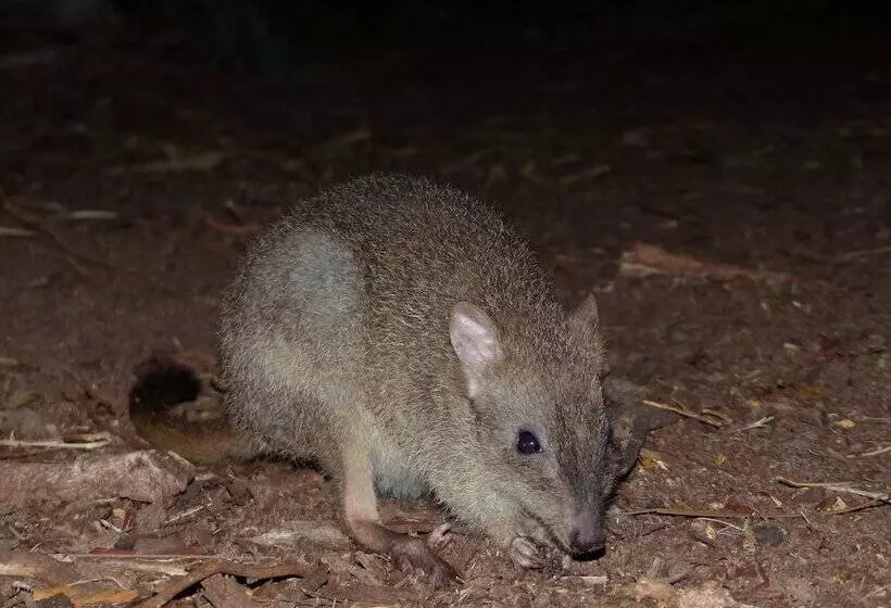 酒店 Yelverton Brook Conservation Sanctuary