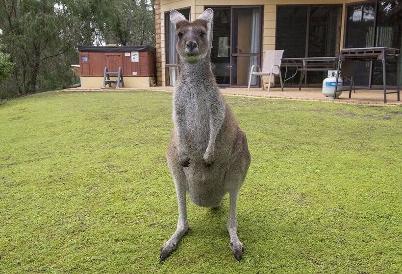 Отель Yelverton Brook Conservation Sanctuary