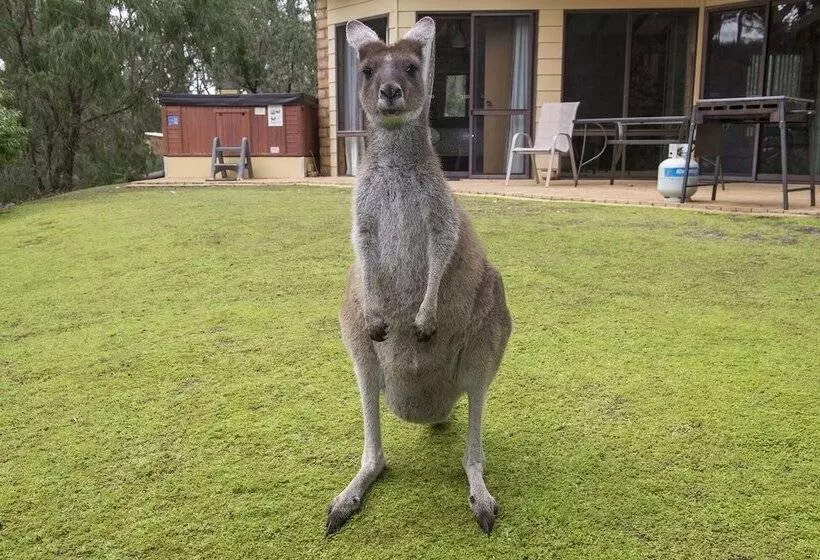 酒店 Yelverton Brook Conservation Sanctuary