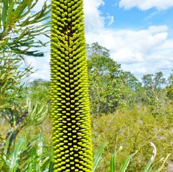 Отель Yelverton Brook Conservation Sanctuary