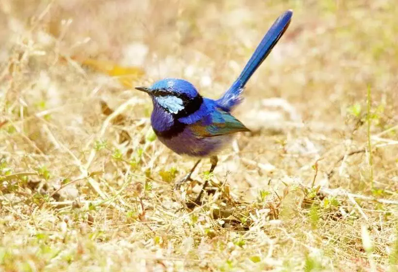 酒店 Yelverton Brook Conservation Sanctuary