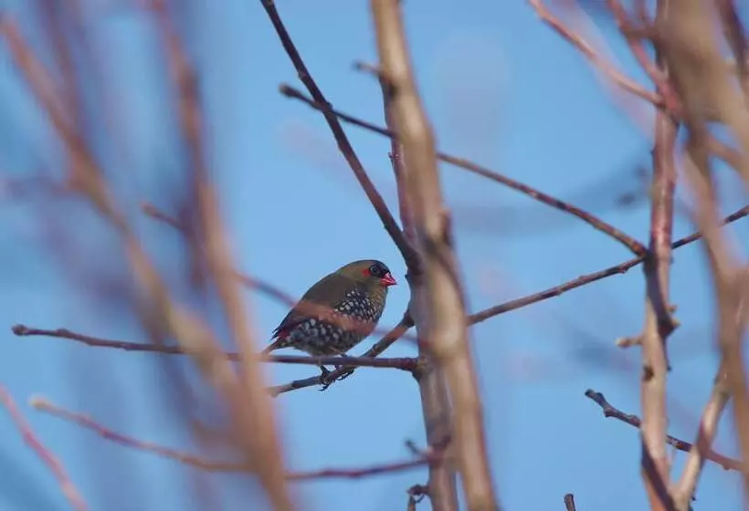 酒店 Yelverton Brook Conservation Sanctuary
