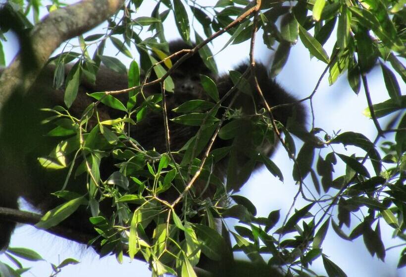 호텔 Ytororo Lodge