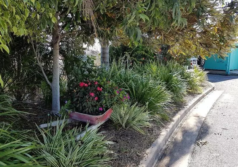 Мотель Reef Adventureland Motor Inn