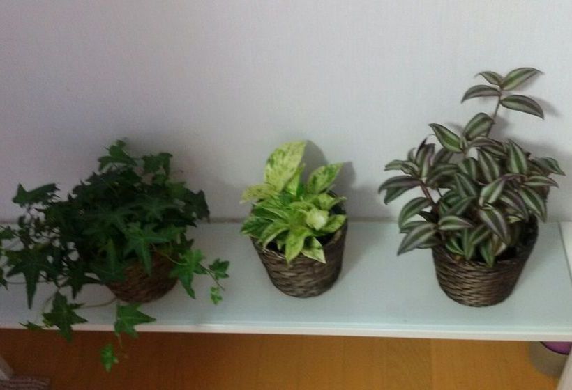 Yoko's House – Hostel