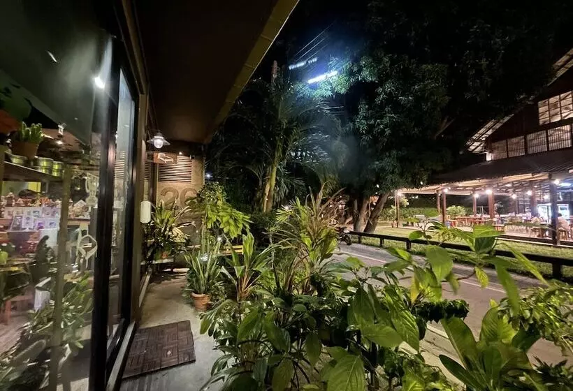 Отель 26 Bed And Coffee