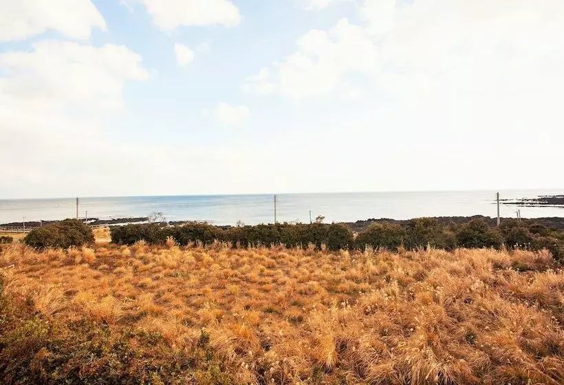 Hôtel Jeju Lasania Castle Resort