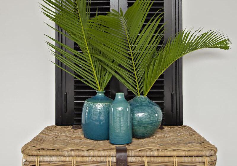 Maison Vy Hotel Hội An