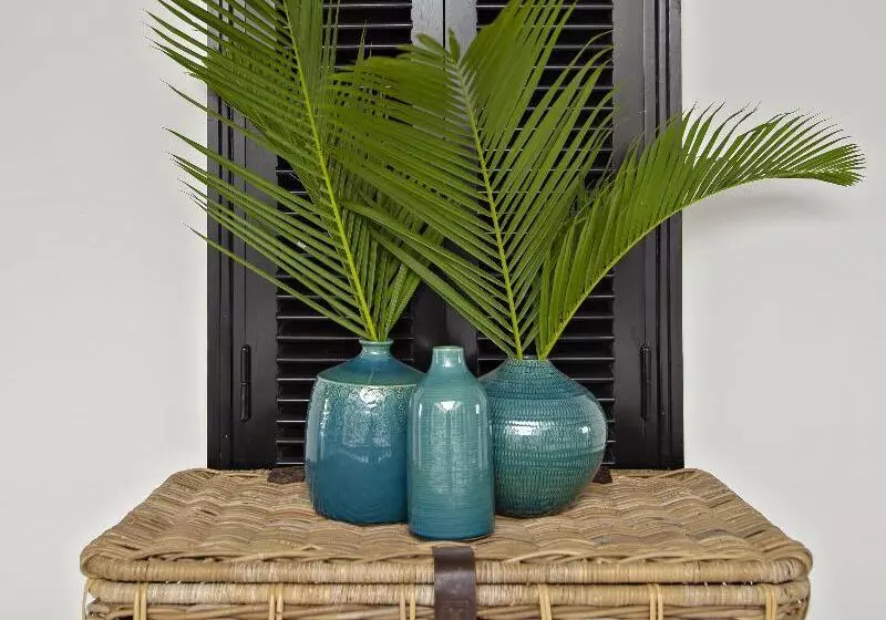 Maison Vy Hotel Hội An