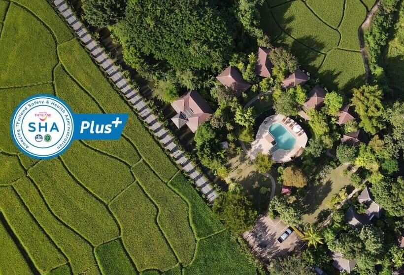 호텔 Pai My Guest Resort Sha Plus